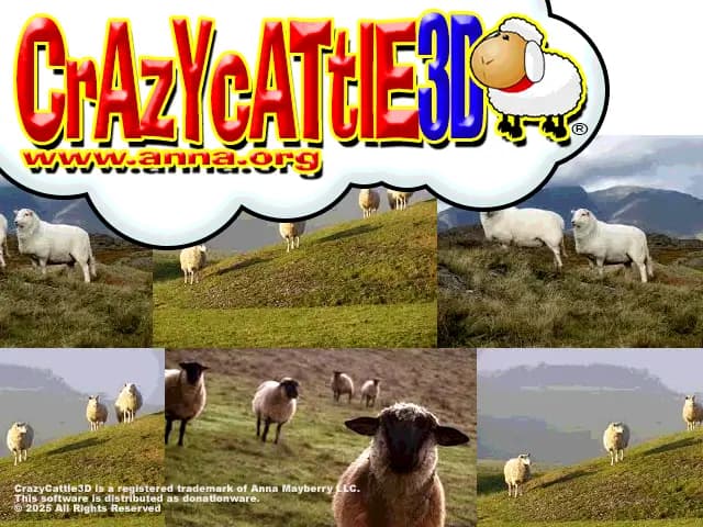 What is crazy cattle 3d